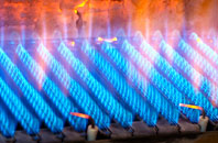 Livingston gas fired boilers